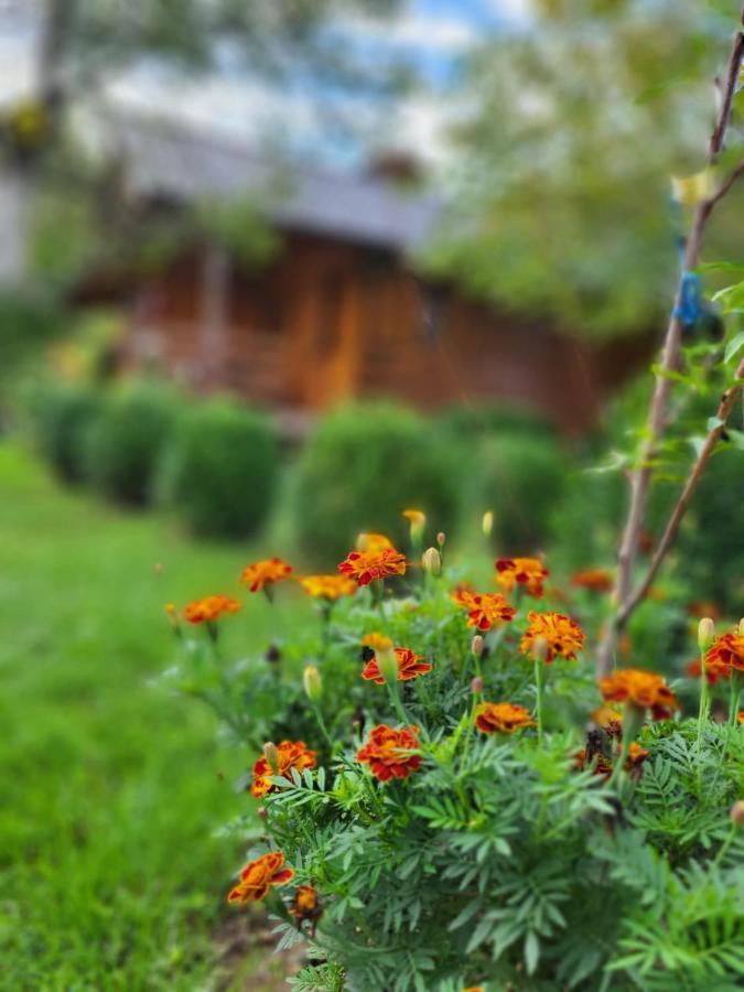 Rest House Ripac Prascijak Екстериор снимка